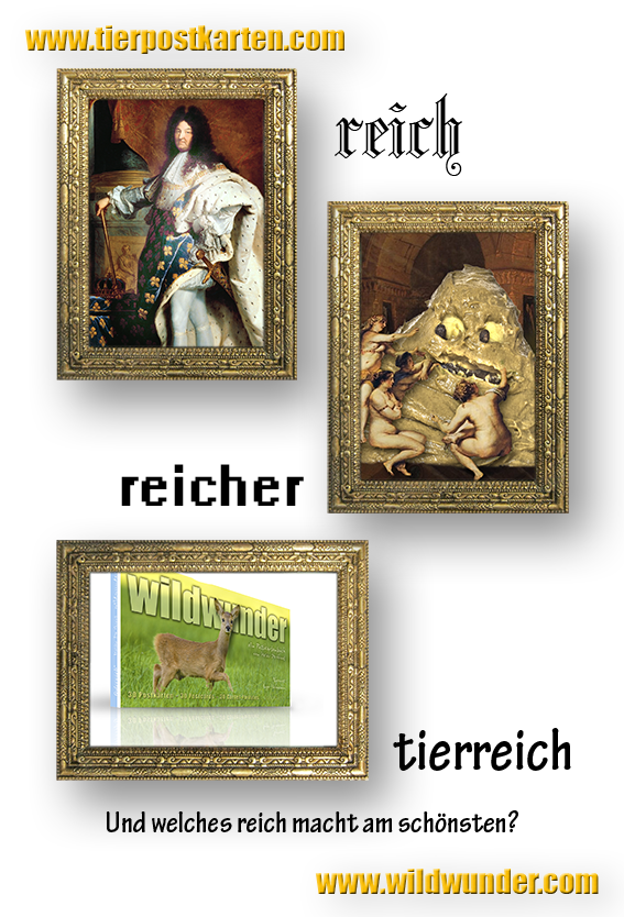 Tierpostkarten: reich, reicher, tierreich